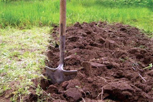 Պապոյանն անդրադարձել է Արարատի մարզի գյուղատնտեսների ահազանգին