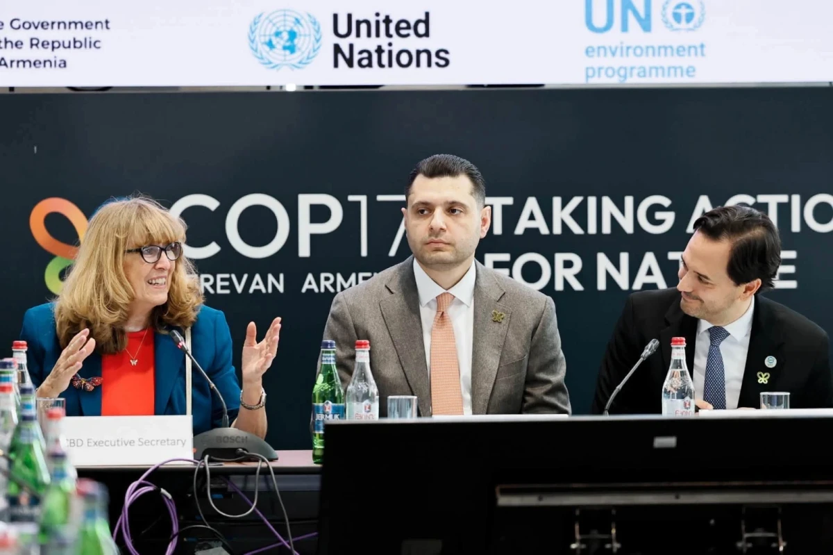 Մեր նախագահության ուղերձը հստակ է. COP 17-ի նախագահի ելույթը