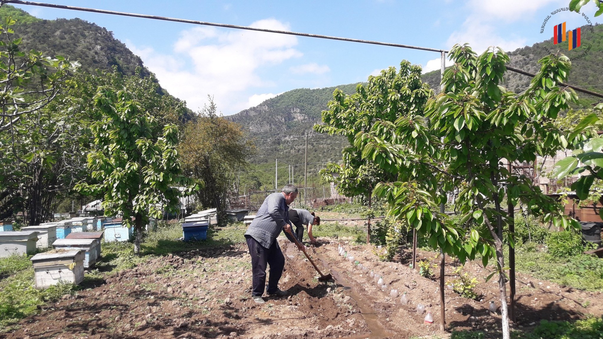 «ՀիմնաՏավուշ» հիմնադրամը ջերմոցային տնտեսություն հիմնած ընտանիքների համար իրականացրել է վերապատրաստման դասընթացներ