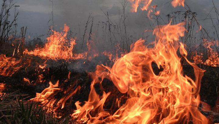 Ձորաղբյուր գյուղում այրվել է մոտ 10 հա խոտածածկույթ