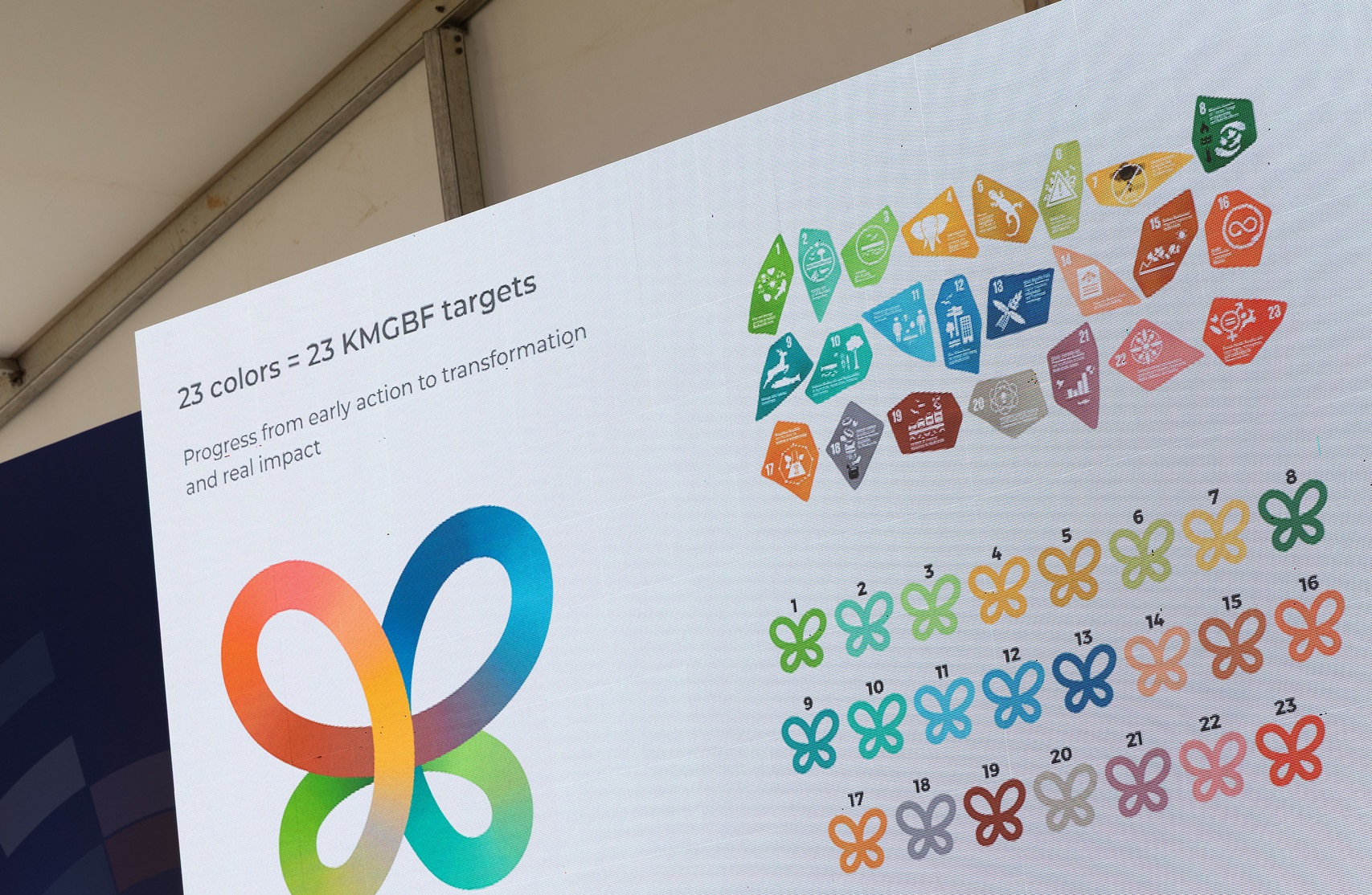 COP17-ի պաշտոնական բացման հանդիսավոր արարողությունը (Ուղիղ)