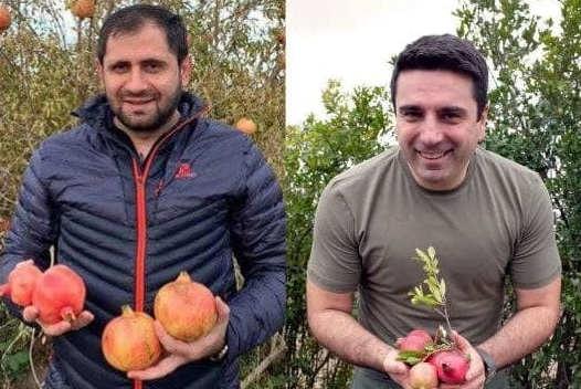 Ի՞նչ գործ ունեիր «ադրբեջանական» բաղերում նուռ հավաքես, բախչագո՞ղ էիր, բա որ քեզ ու ՊՆ նախարարին Ալիևը դատի բախչագողության համար. Շարմազանովը հակադարձել է Սիմոնյանին