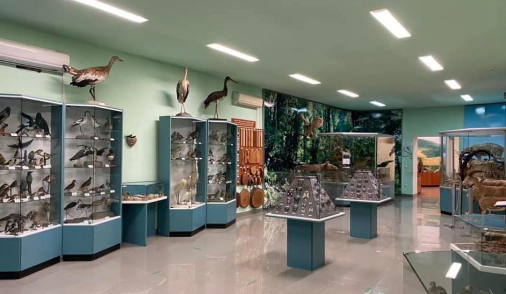 Հայաստանի բնության պետական թանգարանը ողջ օրվա ընթացքում անվճար սկզբունքով բաց կլինի