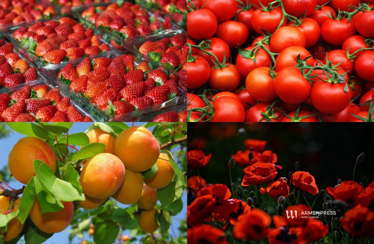 Կառավարությունը արտահանում իրականացրած տնտեսավարողներին տրամադրվող փոխհատուցման նպատակով Էկոնոմիկայի նախարարությանը կհատկացնի 5 մլրդ 365 մլն 640 հազար դրամ