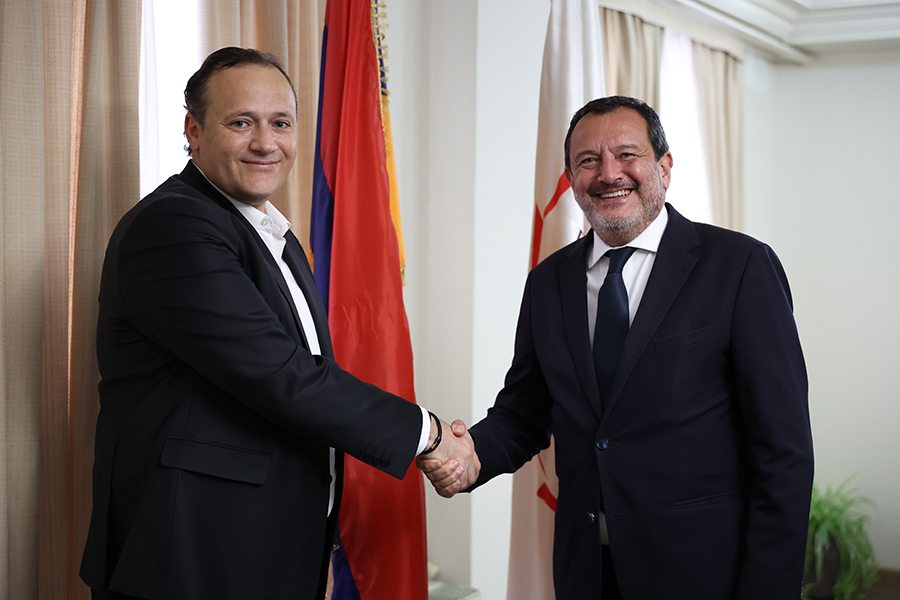 Երևանն ու Նիցցան քննարկել են գործակցության նոր ուղղություններ