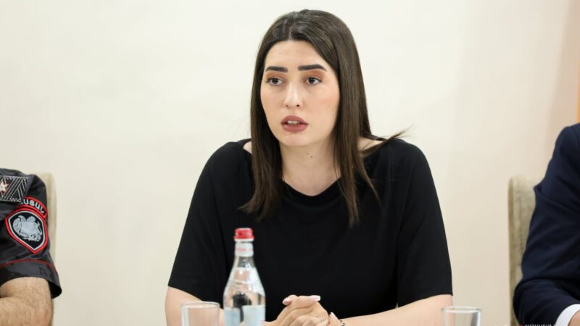 60 տոկոսով նվազել են հրազենի գործադրմամբ կատարված հանցագործությունները․ Արփինե Սարգսյանը ամփոփել է առաջին կիսամյակը