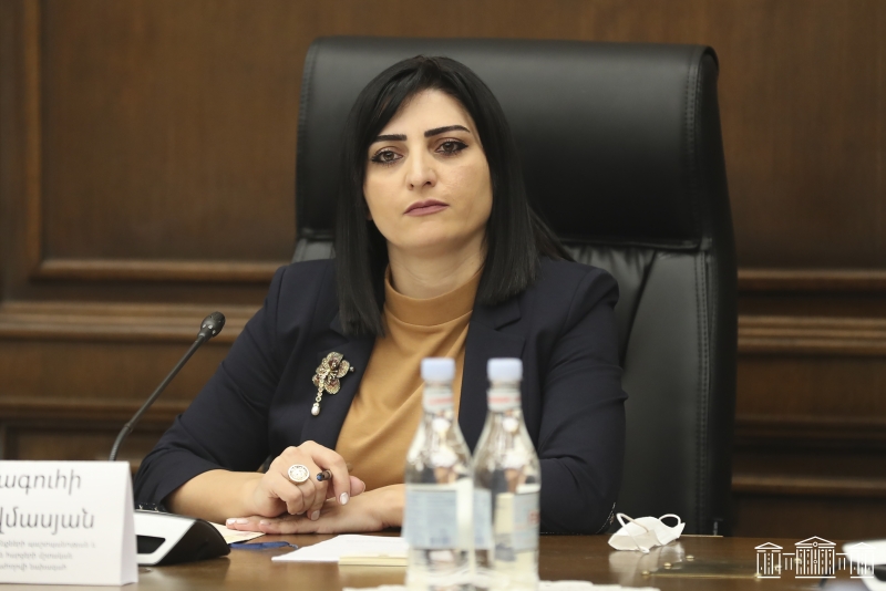 Քաղաքացի Մալոյանը սպառնում էր ինքնահրկիզվել, եթե չկարողանա ԱՄՆ մուտք գործել, դեսպանն արձագանքել է․ Թ․ Թովմասյան