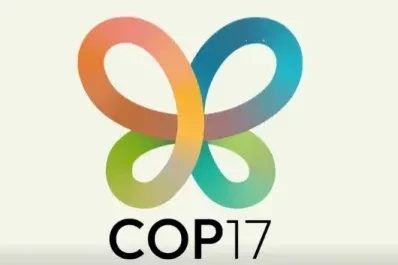 COP17. դիմավորման հանդիսավոր արարողություն` ուղիղ