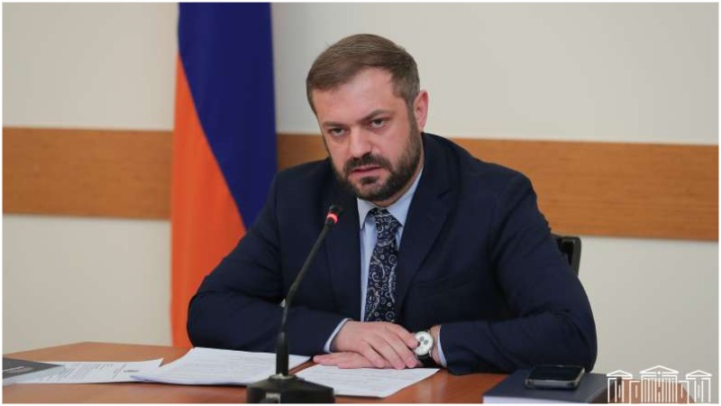 Սահմանին հայկական կոնյակի հետ կապված խնդիրը մեզ համար անհասկանալի է, Վրաստան եմ այցելելու՝ տեղում լուծեմ հարցը. Պապոյան