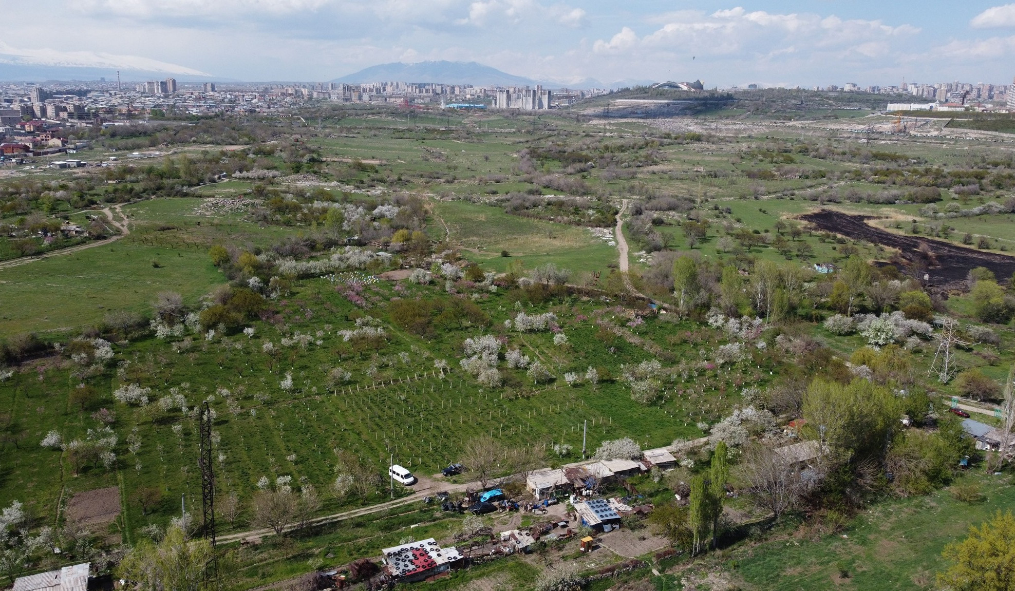 ԱԶԲ ֆինանսավորմամբ իրականացվող ծրագրում կընդգրկվեն Դալմայի այգիներում անտառապուրակ ստեղծելու էսքիզը և նախագիծը