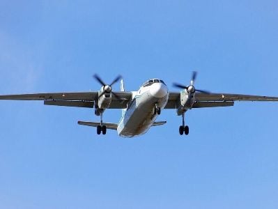 Марина Авалян не попала на разбившийся самолет из-за внучки