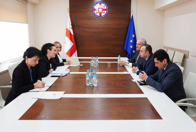 Զարեհ Սինանյանը հանդիպել է Վրաստանի պաշտոնյաների հետ