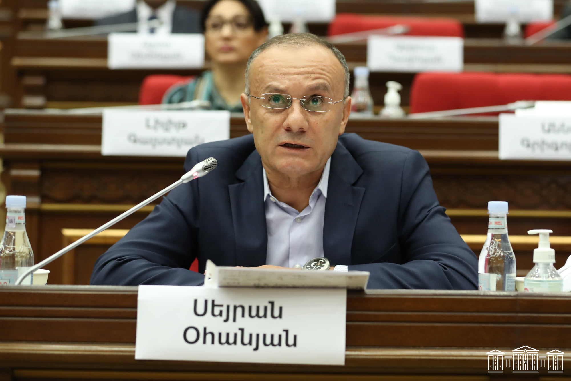 Իրենք էլ «պիպետկա» են ձեռք բերել առանց մեջի կաթիլների. Սեյրան Օհանյանը՝ իշխանությունների մասին