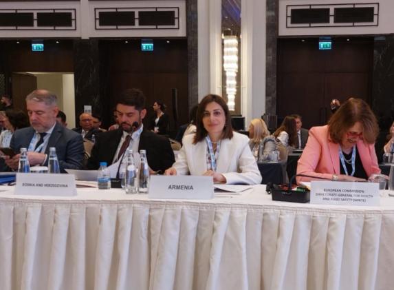 Անահիտ Ավանեսյանը Ստամբուլում մասնակցում է ԱՀԿ-ի Եվրոպայի տարածաշրջանի գրասենյակի նախաձեռնած նախարարական համաժողովին