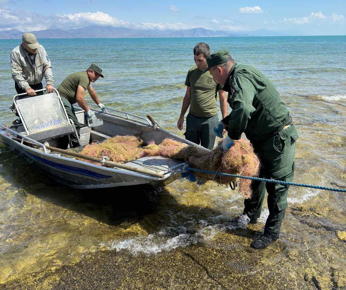 Սևանա լճից դուրս է բերվել 72 ապօրինի խեցգետնաորսիչ