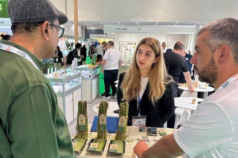 Հայկական ծնեբեկի առաջին խմբաքանակն արտահանվել է Սինգապուր, իրականացվել է ծիրանի փորձնական արտահանում