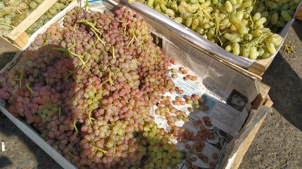 «Երևանի Արարատ կոնյակի-գինու-օղու կոմբինատ»-ը պարզաբանում է ներկայացրել՝ կապված խաղողի մթերման շուրջ ստեղծված իրավիճակի հետ