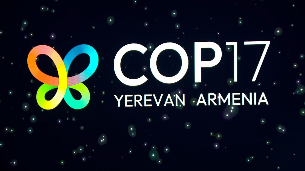 COP17. մեկնարկում է Առաջնորդների գագաթնաժողովը․ ուղիղ