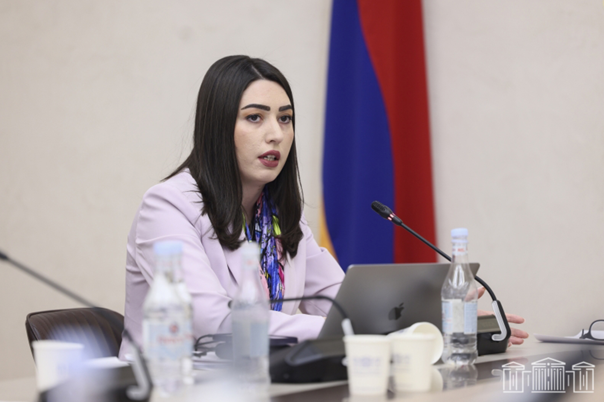 Արփինե Սարգսյանը ԱԺ-ում ներկայացրել է 2024 թվականին Ներքին գործերի նախարարության իրականացրած աշխատանքները