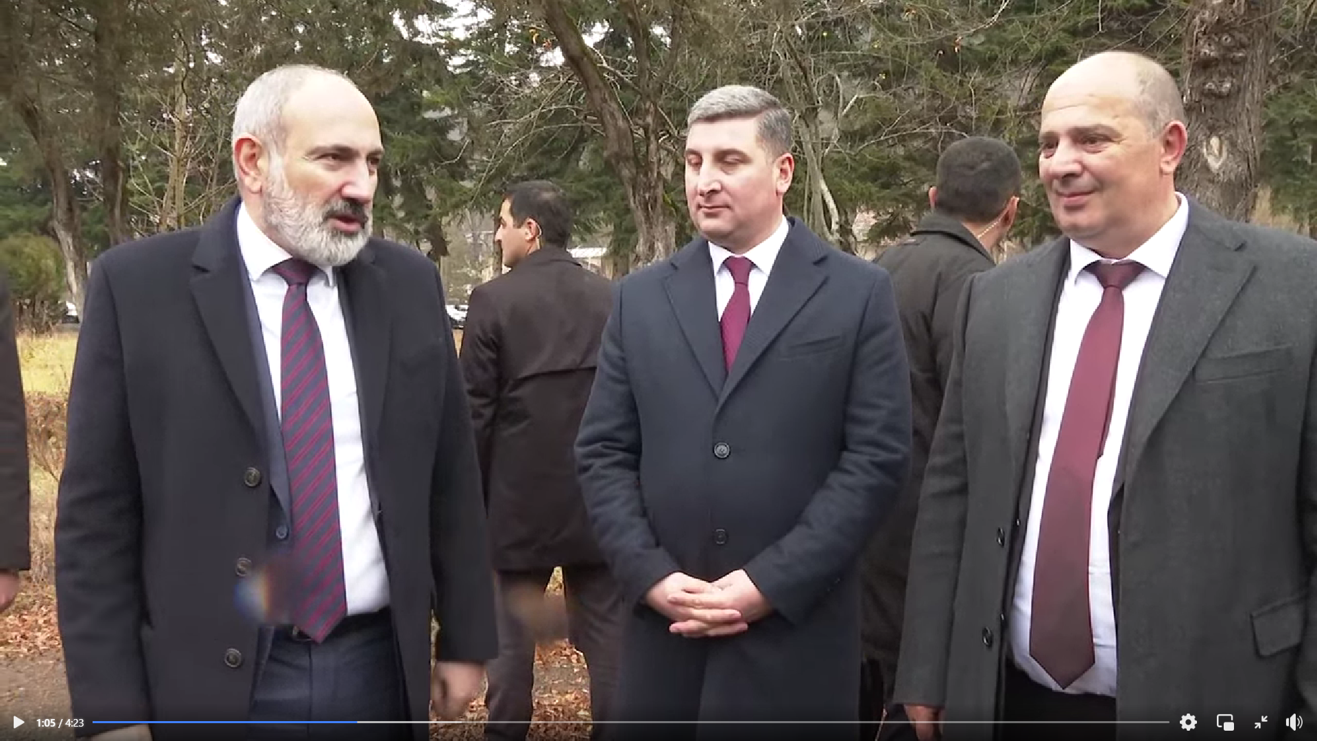 Նիկոլ Փաշինյանը՝ Դիլիջանում իրականացվող սուբվենցիոն ծրագրերի մասին (տեսանյութ)