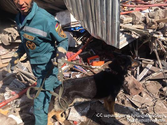 Ռուսաստանից ժամանած զույգն իր շան հետ օգնել է «Սուրմալուում» աշխատող փրկարարներին