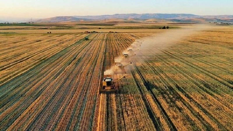 ՀՀ-ի 20 հազար հա հողում մշակության պայմանագրի նախապատրաստումն ավարտվել է. Իրանի  Գյուղատնտեսական ջիհադի կազմակերպության ղեկավար