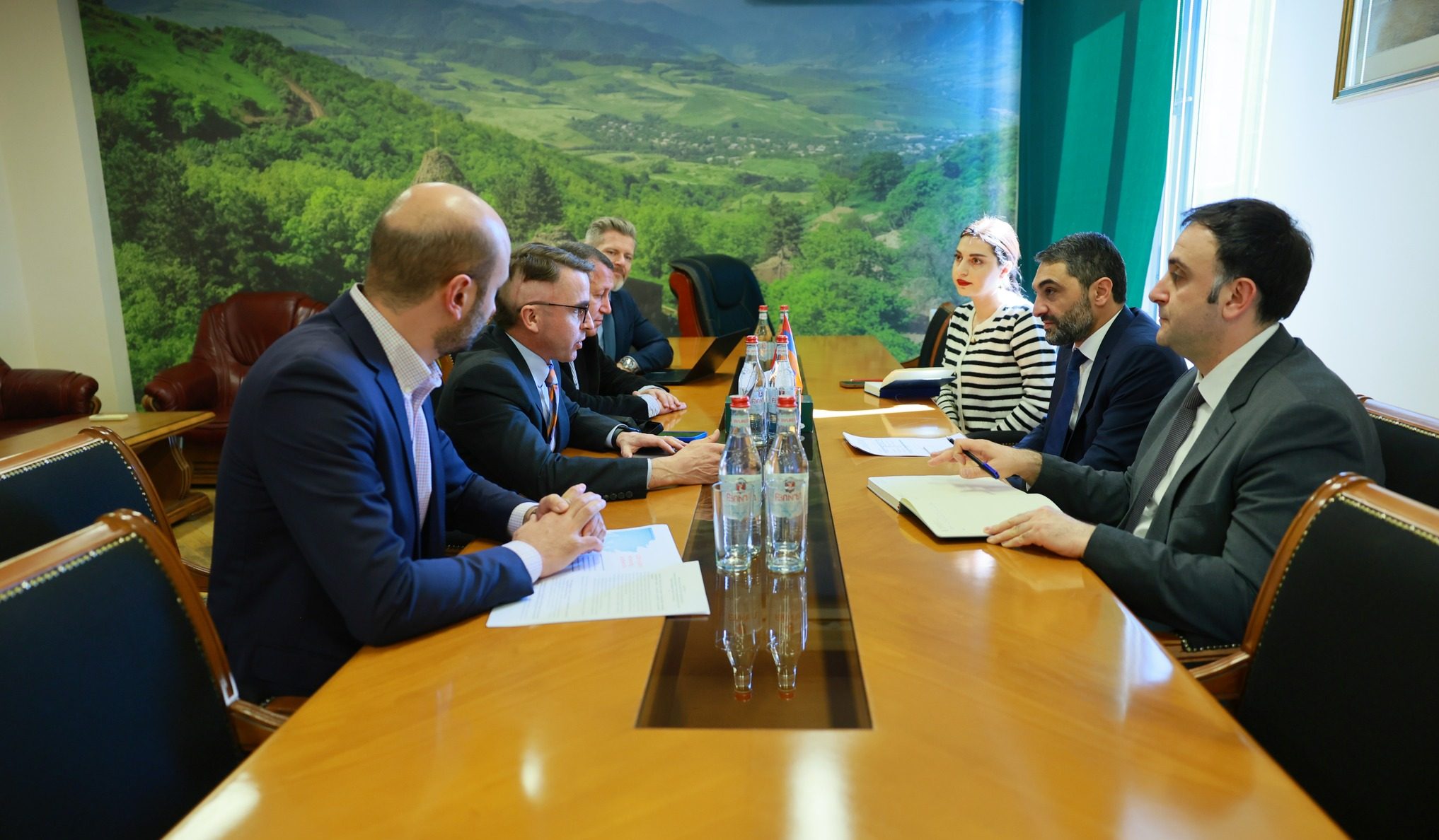 Շրջակա միջավայրի նախարարն ընդունել է Ասիական զարգացման բանկի հայաստանյան մշտական առաքելության տնօրենին