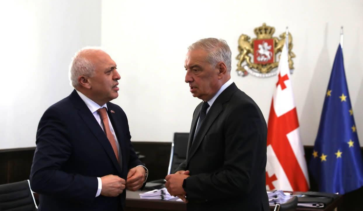 ՀՀ դեսպանն ու Վրաստանի խորհրդարանի փոխնախագահը քննարկել են միջխորհրդարանական կապերի զարգացումը