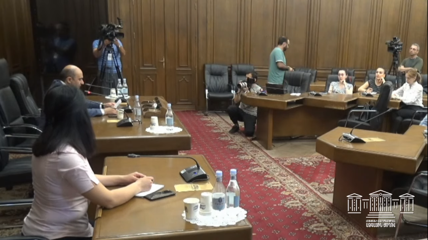 Մեկնարկել են խորհրդարանական ճեպազրույցները․ Ուղիղ
