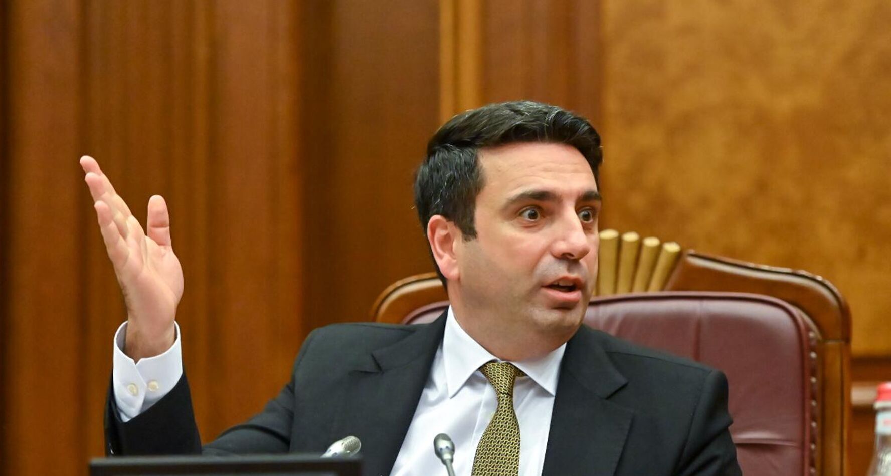 Ալեն Սիմոնյանը՝ ՌԴ-ում հետապնդվող քաղաքացիների արտահանձնման մասին