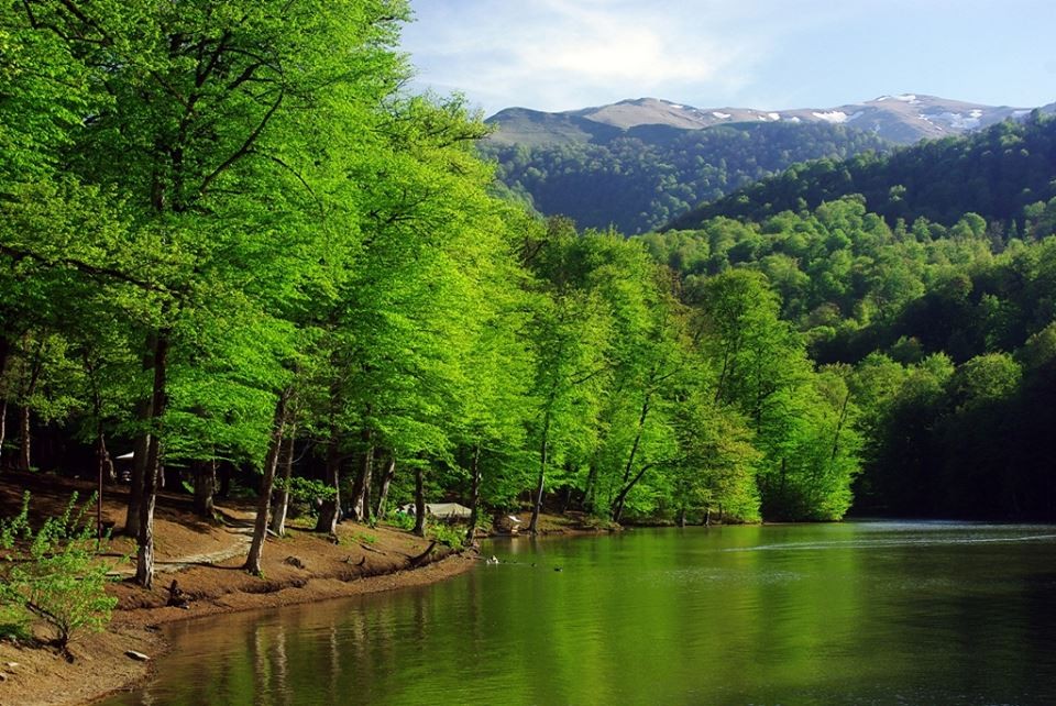 Դիլիջանն առաջադրվել է World Travel Awards հեղինակավոր մրցանակի՝ «Եվրոպայի առաջատար զարգացող զբոսաշրջային ուղղություն 2026» անվանակարգում