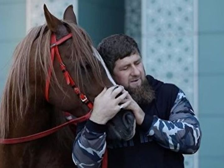 Գողացել են Կադիրովի ձին՝ 18 հազար դոլար արժողությամբ