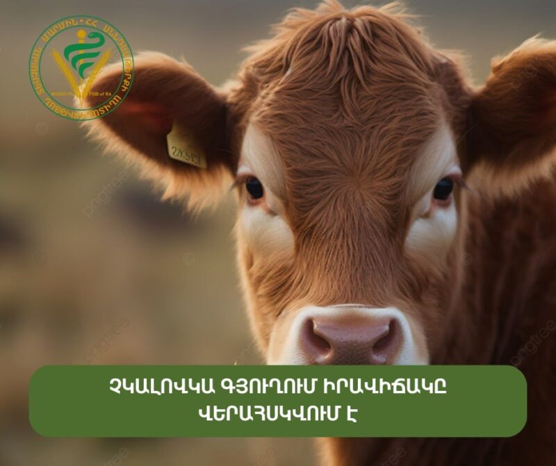 Չկալովկա գյուղում արձանագրվել են բրուցելոզ հիվանդության դեպքեր, իրավիճակը վերահսկվում է․ ՍԱՏՄ