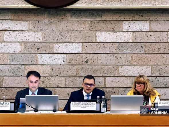 ՀՀ ԱԳՆ տեղակալը ելույթով հանդես է եկել COP17-ին նվիրված բարձրաստիճան ճեպազրույցին