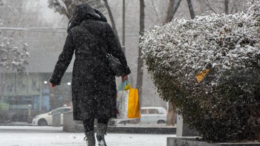 Առանձին շրջաններում սպասվում են տեղումներ և մառախուղ. եղանակի կանխատեսումը