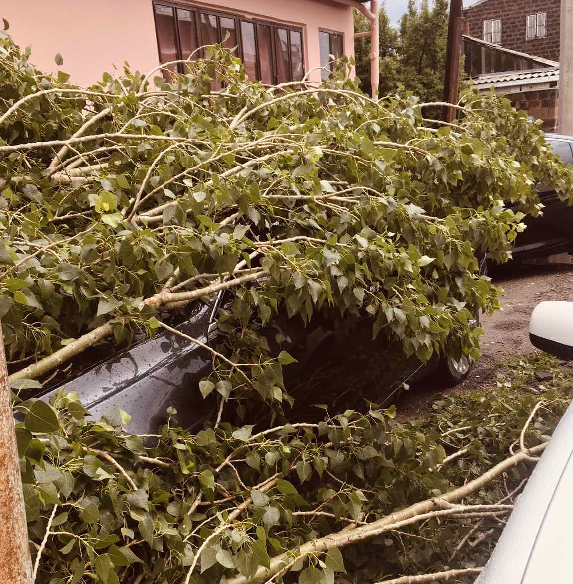 Երևանում և մարզերում  քամու հետևանքով վնասվել են շինությունների տանիքներ, ավտոմեքենաներ և կոտրվել են ծառեր