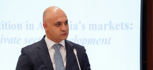 Հայաստանում 19 ավարտված վարույթ կա պետական մարմինների դեմ. ՄՊՀ նախագահ