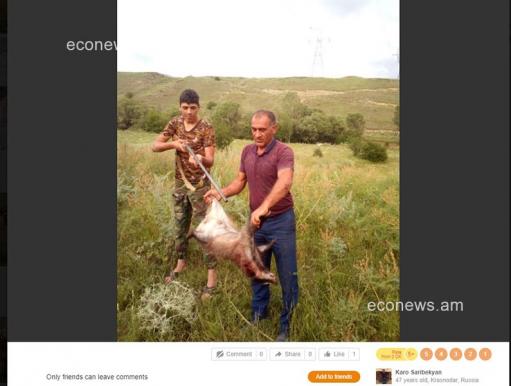 Դաժան և ապօրինի «որսի» սիրահարը (լուսանկարներ)