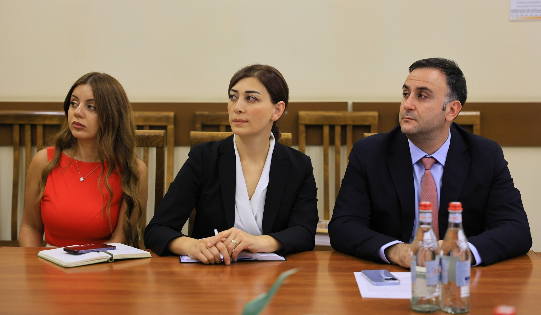 ՇՄՆ-ում գործընկերներին է ներկայացվել Կանաչ կլիմայի հիմնադրամի հետ համագործակցությունը