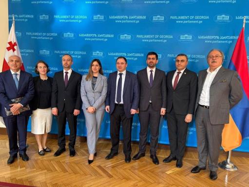 Տեղի է ունեցել ՀՀ-ի և Վրաստանի խորհրդարանների արտաքին հարաբերությունների հանձնաժողովների առաջին համատեղ նիստը