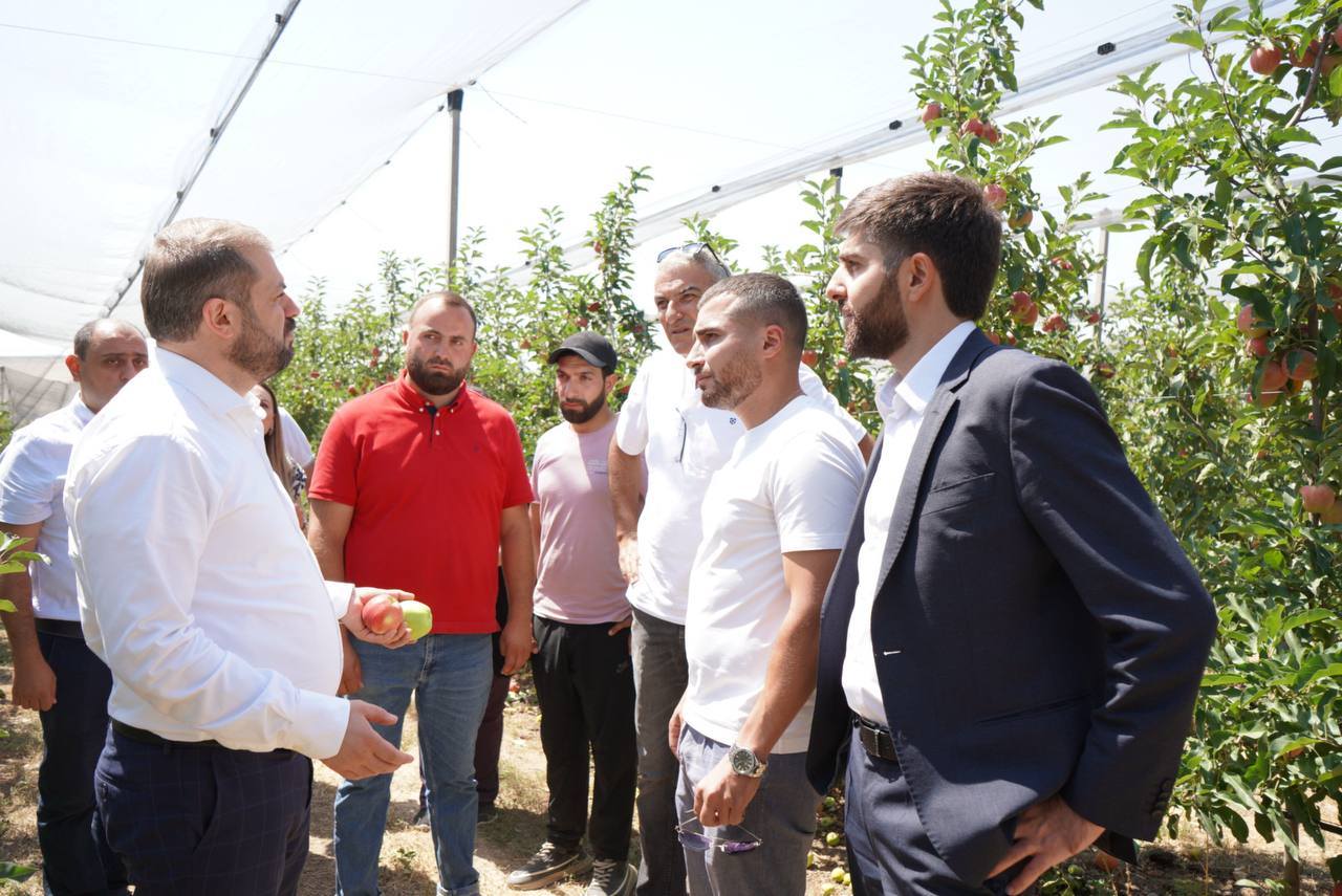 Պապոյանն այցելել է Կոտայքի և Արմավիրի մարզերում պետական աջակցությամբ հիմնված ինտենսիվ այգիներ