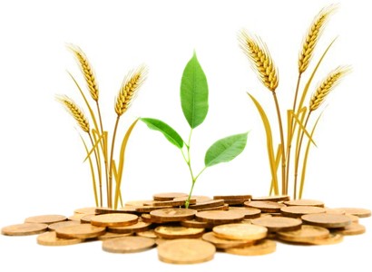 Մարզերում բանկերը գյուղվարկեր չեն տրամադրում. իմքայլական պատգամավոր