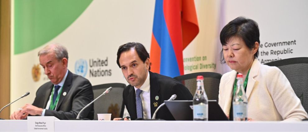 COP17-ի շրջանակում հայտարարվեց Գլոբալ բնապահպանական հիմնադրամի ընդհանուր ֆինանսավորումը 4.4 մլրդ դոլարի հասցնելու մասին