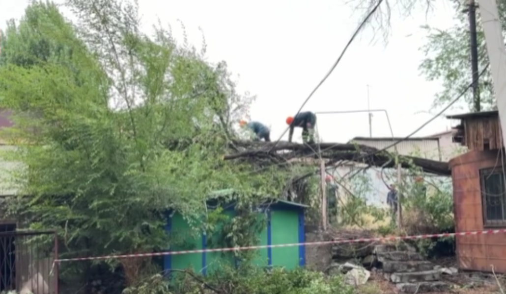 Տապալված ծառեր, հեղեղված փողոցներ, կարկուտ՝ Գյումրիում (տեսանյութ)