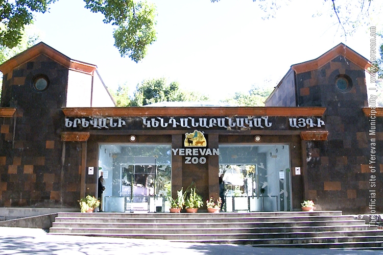 Քաղաքապետարանը ուսումնասիրություններ է կատարում կենդանաբանական այգում