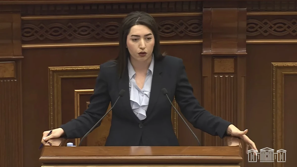 2026-ի առաջին կիսամյակում արձանագրվել է նույն անձանց միջև երկրորդ և ավելի անգամ բռնություն կիրառելու 230 դեպք. ՆԳ նախարարը մանրամասնում է