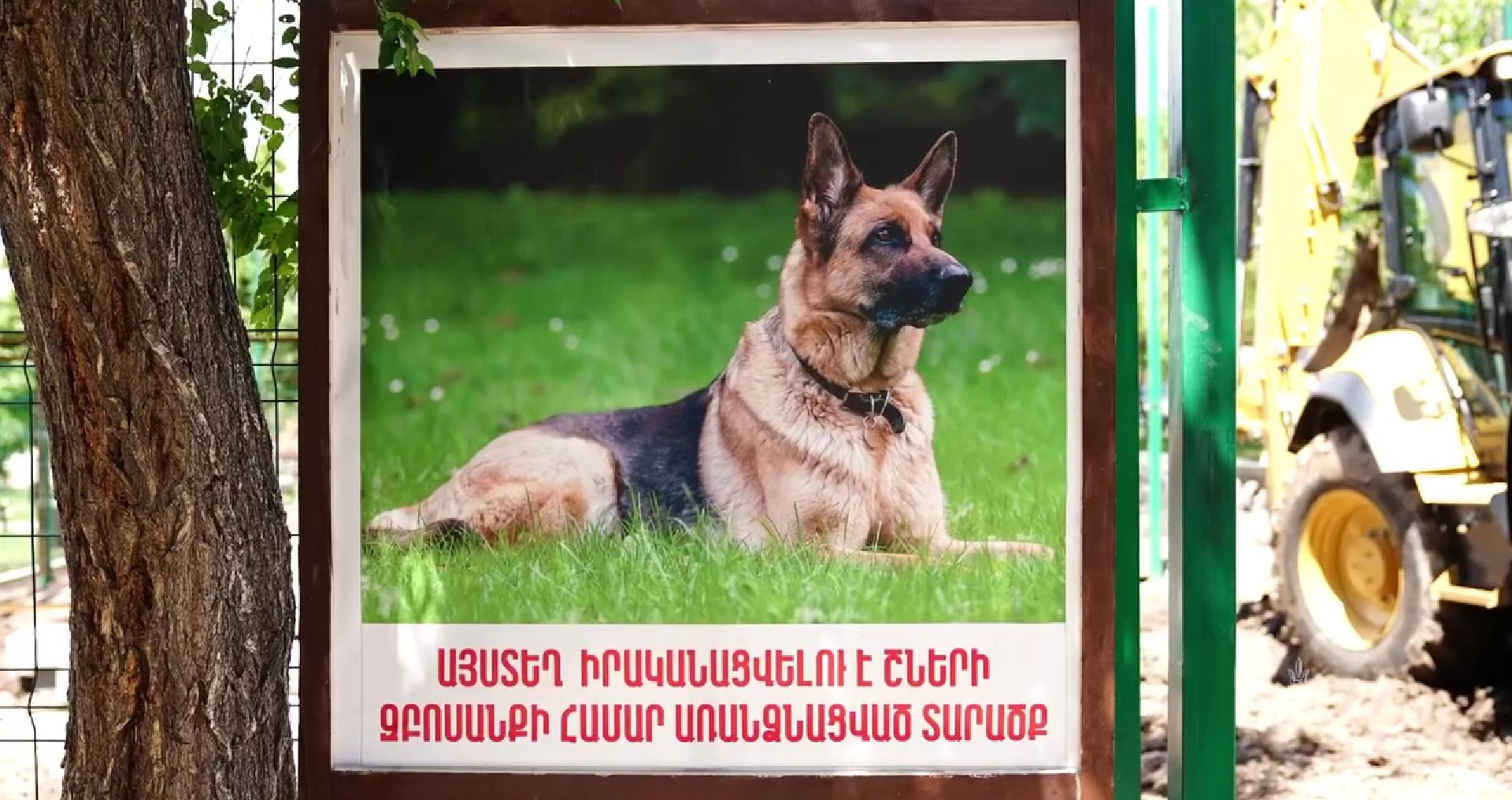 Երևանում շների համար նոր զբոսայգի է կառուցվում (տեսանյութ)