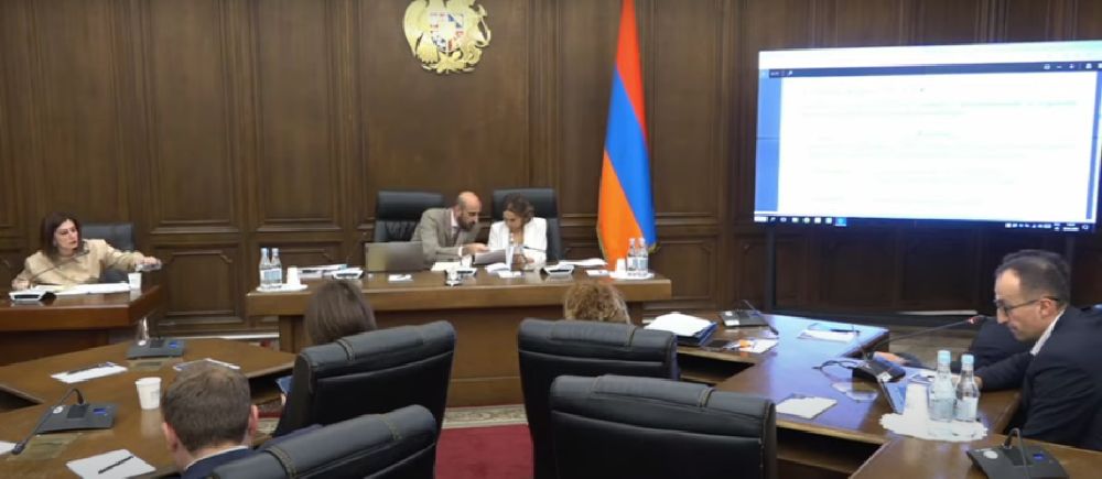 Տարօրինակ բաներ եք ասում. ԲԿ-ներին ասվել է՝ ինչքան ուզում եք, ծառայություն մատուցեք. վեճ՝ Թորոսյանի և Ավանեսյանի միջև (տեսանյութ)