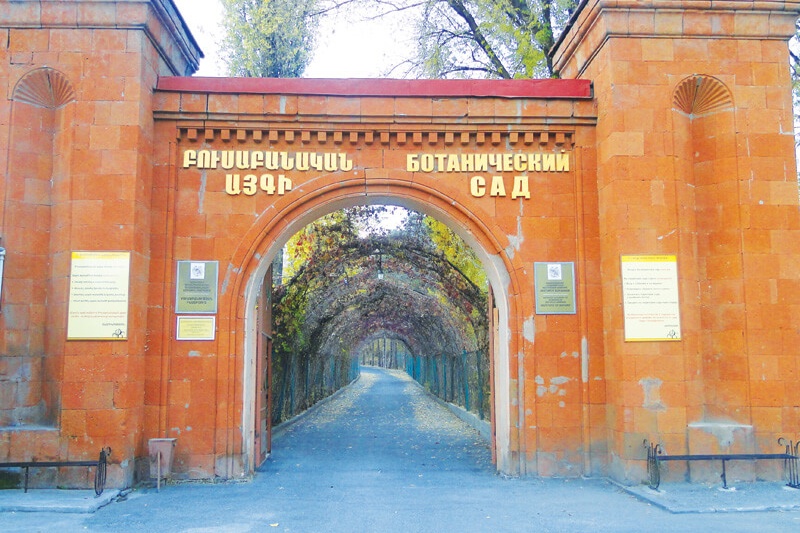 «Բուսաբանական այգու» վարձակալության տրված տարածքների դիմաց վարձավճարը գանձվել է կրկնակի ցածր