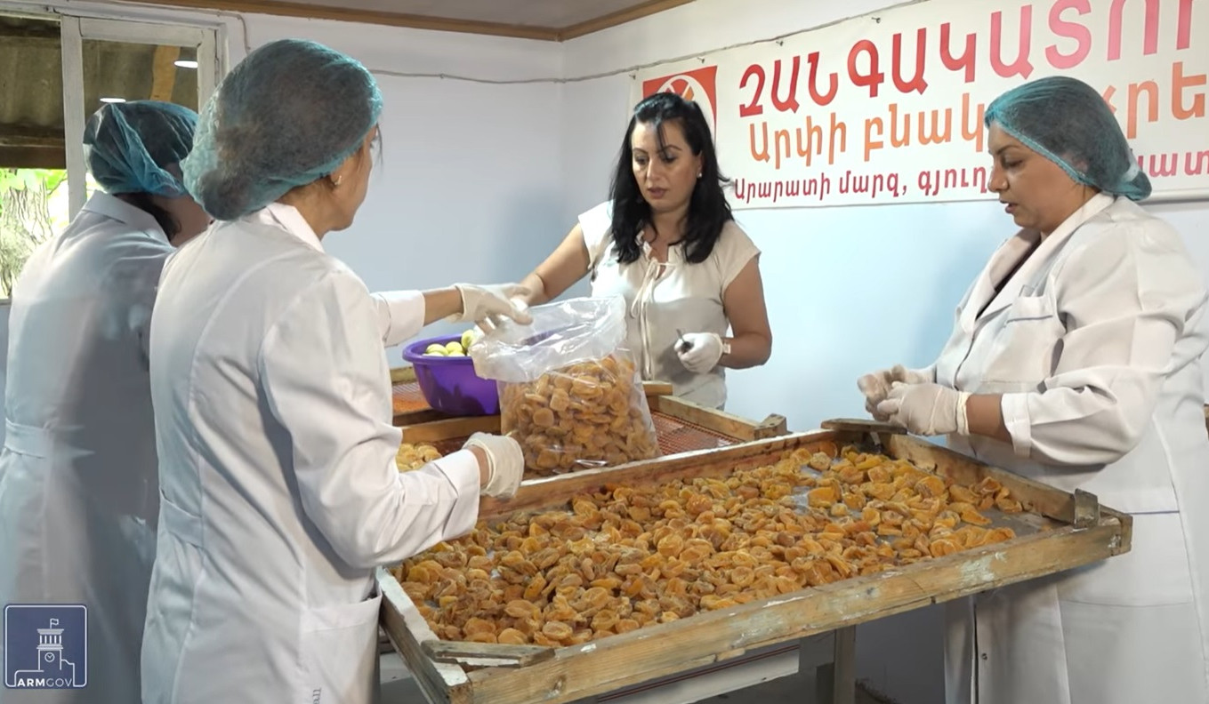 Ընտրի՛ր հայկականը (տեսանյութ)